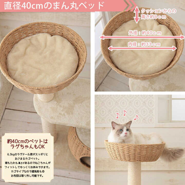 楽天市場】キャットタワー 据え置き コンパクト 子猫 シニア猫 