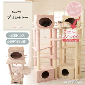 yXyVvCX32,560~27,500~@Mau^[vVg[zLbg^[ lC u ^L nbNt X ȃXy[X  qL 170cm ܂Ƃ    g