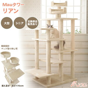 yMau^[AzLbg^[ u ^L nbNt  VjAL qL ZL 170cm i Ki ܂Ƃ    gȒP L^[ 킢 
