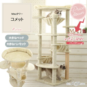 yXyVvCX35,860~25,300~ Mau^[RbgzLbg^[ u ^L  nbNt qL 159cm ܂Ƃ    gȒP L^[ 킢 