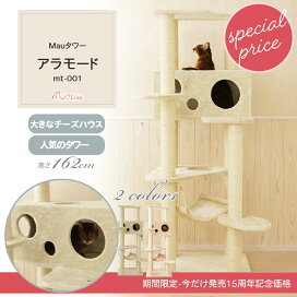 mt-001-specialprice.jpg?fitin= 