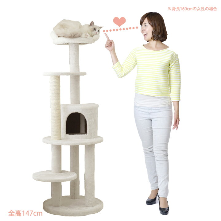 楽天市場】キャットタワー 据え置き コンパクト 子猫 ハンモック取付可  