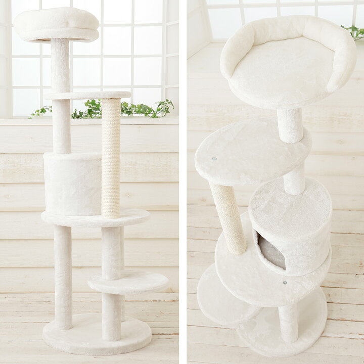 楽天市場】キャットタワー 据え置き コンパクト 子猫 ハンモック取付可  