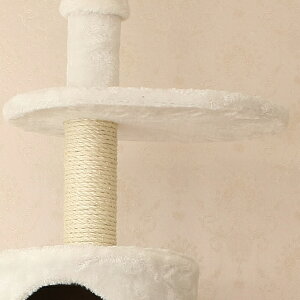 yiziIjŏ㕔Xebv^30×40igej