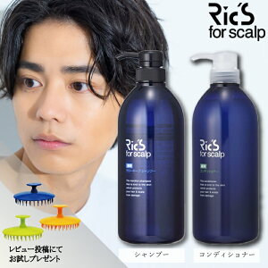 yK̔XEŋzΉr[Ttz bNX p O[L[v Vv[ 800mL / RfBVi[ 800mL Iׂ Pi Zbg {P~RX XLvPA XLv