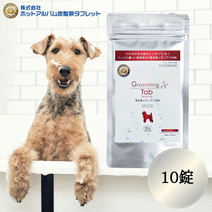 yɎg200~N[|LINEɂĔzzzO[~O^u dY_ 10 zbg^u  ybgp C {fB[PA