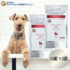 y2Zbgz O[~O^u dY_ 10 zbg^u  ybgp C {fB[PA