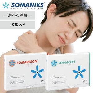 �y�I�ׂ�2��ށz ���m���a�� �q�\�}�Z�v�g L �u���[ /�\�}���]�� L �I�����W�r10������ �֐ߒ� �ؓ��� �Â� �c�{ �h�� �I ��