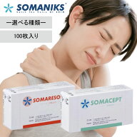 【選べる2種類】 東洋レヂン 〈ソマセプト L ブルー /ソマレゾン L オレンジ〉100枚入り 関節痛 筋肉痛 …