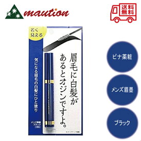 【★最安値に挑戦★】ビナ薬粧 メンズ眉墨 ブラック アイブロウ ビナ 眉毛 まゆげ 白毛隠し コスメ メイク 男性 化粧品