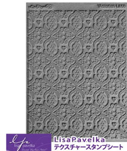 LisaPavelkaeNX`[X^v#527093[X͗l