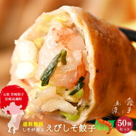 えびしそ餃子50個 |【送料無料】 宮崎餃子 同梱におすすめ 高鍋 九州 お取り寄せ 海老餃子 しそ餃子 エビぎょうざ 青じそ 皮 もっちり 熱狂マニアさん ラヴィット！ 月曜から夜ふかし マツコ 知らない世界 めざまし ケンミンSHOW ブランチ 行列 上田と女 がむしゃらグルメ