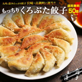くろぶた餃子50個 | 【送料無料】生餃子 冷凍生餃子 宮崎餃子 高鍋 お取り寄せ ぎょうざ 餃子女子 完全栄養食 国産100％ 黒豚餃子 皮 もちもち 熱狂マニア ラヴィット！ 月曜から夜ふかし マツコ 知らない世界 めざまし ケンミンSHOW ブランチ 行列 上田と女