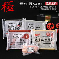 餃子の馬渡極セット「全餃子5種類の中からお好きな4種が選べる」（もっちり餃子10個 くろぶた餃子10個 え…