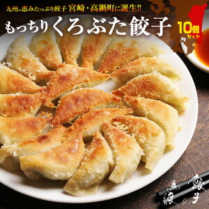 くろぶた餃子10個 | 宮崎餃子 高鍋餃子 もっちり 皮 同梱におすすめ お取り寄せ ぎょうざ 最強ビアめし 完全栄養食 国産 黒豚餃子 黒豚 熱狂マニアさん ラヴィット! 月曜から夜ふかし マツ