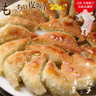 もっちり餃子30個 |《同梱におすすめ》 生餃子 冷凍生餃子 宮崎餃子 高鍋餃子 九州 ぎょうざ 完全栄養食 …