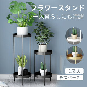 v^[ X^h 80cm t[ X^h 50cm    ԑ ϗtA X  k  zCg  ubN S[h   ԕr u I Aؔ gݗĊȒP C