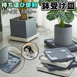 v^[ X^h p^ lp Aؔg[ t[ X^h u A  A v^[ BLX^[t x[W O[ ω׏d50kg Aؔ g[  ړ֗ A x