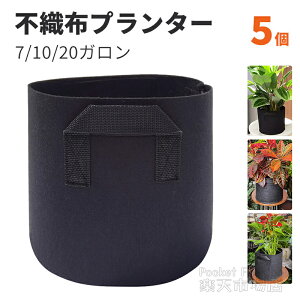 y5Zbgz12K sDzv^[ sDz|bg 7K z ͔| 20K Aؔ 35×28cm 40×35cm 50×40cm A ƒ؉ diy | A琬 ɂɂ ɂ񂶂 Ⴊ XibvG