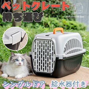  L  STCY ybg Rei ybgp p  Ck Lp ˂ lR ybgN[g P[W N[gnEX h  ЊQ  vX`bN