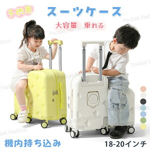 X[cP[X e35L 32L @݉\TCY qL[P[X 18C` 20C` qX[cP[X qpL[P[X qpX[cP[X L[ _