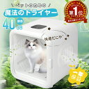★期間限定1000円OFF★【ペット用品をプレゼント】ペット用ドライヤー ペットドライルーム ペットドライヤー 抜け毛 …