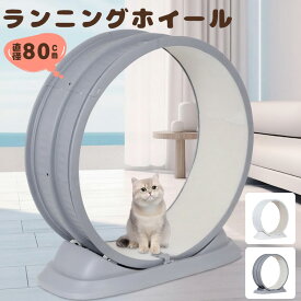 【限定8%OFFクーポン配布中】 キャットホイール トレッドミル ローラー 静音 低騒音 猫用 ランニングホイール ランニングマシン 80cm 2色 ホイールランナー ペット ホイール 自走式 回し車 ルームランナー 爪とぎ 運動不足 ダイエット キャットホイール