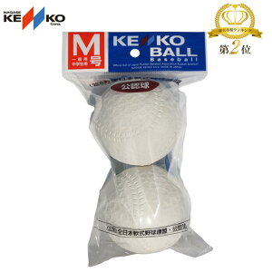 싅{[ KENKO PR[{[F M 2 M-2P