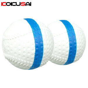 싅pg[jO{[ ]`FbN{[69@u[/ 2 RNTC(KOKUSAI) ks229-2p