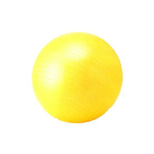 �g���[�j���O �t�B�b�g�l�X�{�[�� 55cm �o�����X�{�[�� 1�� NLS7655
