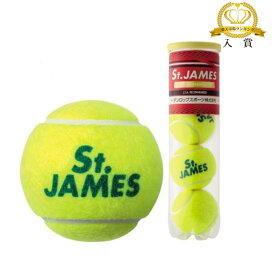 硬式テニスボール ダンロップ DUNLOP 硬式テニスボール St.JAMES セントジェームズ