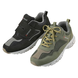 V[Y Y EH[LO C y ȒP L 4E 2Fg 5031 Pierucci sGb`