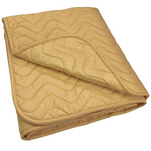 ԊO~pbhuAt@EF[u MVO100×200cmvKi(~p M~pbg)