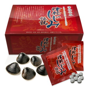 ĐVW~Lk JTCguÌyݓ` 240vKi Ij`  Tvg