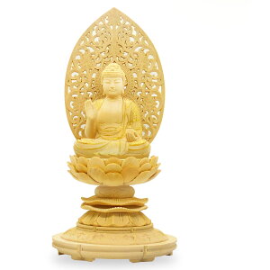  蒤 N  t@ VRw S25cm ҈󂠂