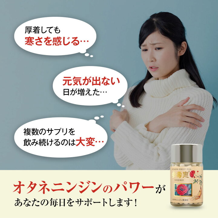 楽天市場】高麗人参 オタネニンジン果実入り サプリメント 