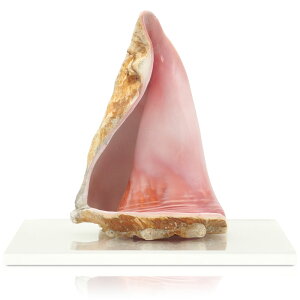 NC[RNVF Lk u  Y q l vw~ J^  v[g CeA ANt ӕʏt Ki