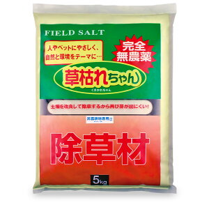 y5kgzG  ͂ꂿ  _ _knp Œ10 3477391 { Ki