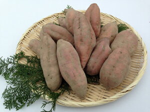 YnIy_Ew엿sgpz͔|[10L߂킹/L@/̂/[/₫/Ĉ/I[KjbN/Y/܂//wV[//Ε/v[