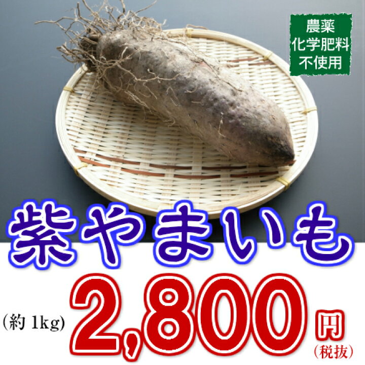 楽天市場】珍しいやまいも！【農薬・化学肥料不使用】こだわり栽培 紫 
