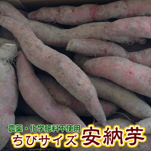 L@[IIꕔny_Ew엿sgpz͔|[ уTCY1.5L߂킹//߂//wV[/SS/g[X^[ŊȒPɁI