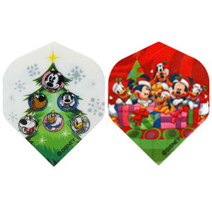 fBYj[ }WbN tCg NX}X Disney Magic Flight Christmas _[ctCg