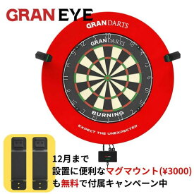 グランアイ グランダーツ GRAN GRAN EYE ダーツボード/サラウンド別売り