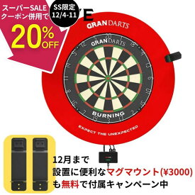 【SS限定12%offクーポン】 グランアイ グランダーツ GRAN GRAN EYE ダーツボード/サラウンド別売り