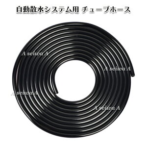 Up z[X10m VXe Up p  |Cg