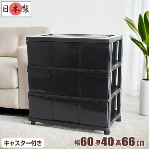 S12F ߑP[X [P[X [{bNX o e vX`bN Ch`FXg 3i 60cm s40cm 66cm {bNX   X[p[ubN LX^[t m[ 