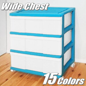 i S15F ߑP[X [P[X [{bNX o vX`bN Ch`FXg 3i 60cm s40cm 66cm Jt J[{bNX   ^[RCYO[ LX