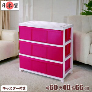 S12F ߑP[X [P[X [{bNX o e vX`bN Ch`FXg 3i 60cm s40cm 66cm {bNX   zCg^sN LX^[t m[ 