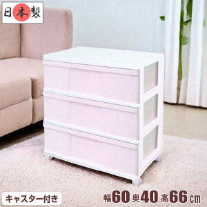 S12F ߑP[X [P[X [{bNX o e vX`bN Ch`FXg 3i 60cm s40cm 66cm {bNX   zCg^`F[sN LX^[t 