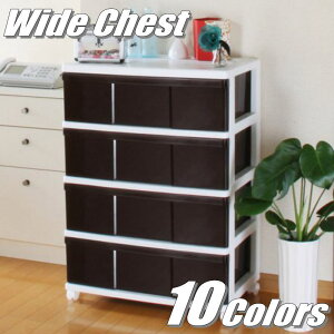 i S10F ߑP[X [P[X [{bNX o vX`bN Ch`FXg 4i 60cm s40cm 85cm Jt J[{bNX   zCg^uE LX